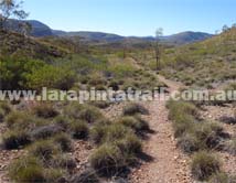 Section 10 Larapinta Trail