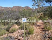 Section 3 Larapinta Trail