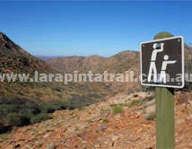 Section 4 Larapinta Trail