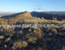 Section 8 Larapinta Trail
