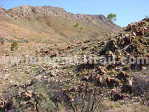 Section 9 Larapinta Trail